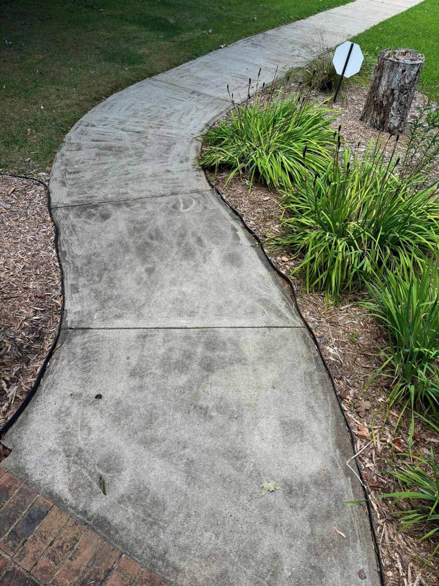 Concrete cleaning result